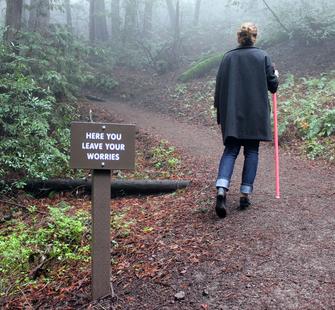 Susan O’Malley, "A Healing Walk," Montalvo Arts Center, 2013